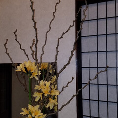 わたしのお気に入り/花のある生活/花のある暮らし/平成最後の一枚/春のフォト投稿キャンペーン/フォロー大歓迎/... 先日の枝物に元気な黄色のお花に変えました…(2枚目)