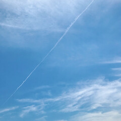 梅雨/おでかけ/住まい 細くてながーい飛行機雲✈️☁️
青空を見…(1枚目)