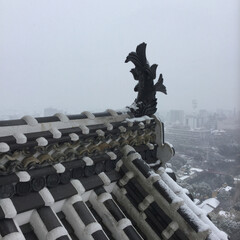 姫路城/LIMIAおでかけ部/おでかけ/旅行/風景/建築 雪景色の中でしゃちほこが、逆立ちして喜ん…(1枚目)