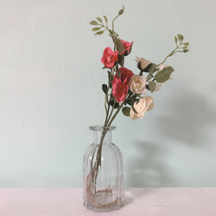 雑貨/暮らし/100均/リビングあるある/フラワーベース/ダイソー ダイソーの花瓶です♡形が可愛い！花を飾っ…(3枚目)