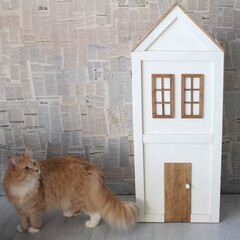 DIY/リメイク/手作り家具/カラーボックス/猫/ペット カラーボックスをハウス型にリメイクしまし…(1枚目)