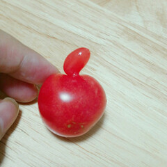 はらぺこグルメ 家庭菜園で見つけたリンゴ型のミニトマト(1枚目)