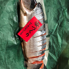 紅鮭/お歳暮 でっかい道 函館から、紅鮭 1匹 丸ごと…(1枚目)