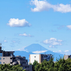 風景/空/富士山 🌺🍹🐊🍉🌴🌻🌴🍍

🌴🦩／^o^＼ﾌｯｼ…(1枚目)
