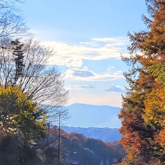 浅間山/紅葉🍁/風景/おでかけ 🌺🍹🐊🍉🌴🌻🌴🍍

🌴🦩面白い雲☁️と風…(4枚目)