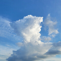 風景/空 🌺🍹🐊🍉🌴🌻🌴🍍

🌴🦩雲の流れが面白い…(1枚目)