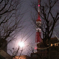 スノームーン/風景/空/月/東京タワー 🌈🌺🐢💃🌴こんばんは(*^▽^*)ノです…(1枚目)