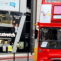 ロンドンバス/風景 🌺🍹🐊🍉🌴🌺🌴

🌴🦩ﾟ+｡:.ﾟおぉ(…(2枚目)
