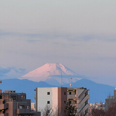 風景/富士山 🌴🌺⛱🌼🐠🌴💓

🌈♡今日の／^o^＼ﾌ…(1枚目)