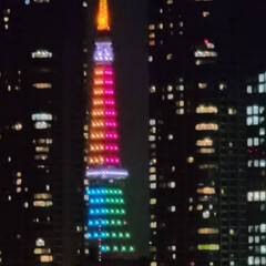 WBC決勝進出おめでとう/東京タワー/空/風景 🌺🍹🐊🍉🌴🌺🌴

·̩͙꒰ঌ 👑 ໒꒱·…(4枚目)