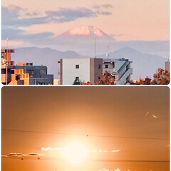 富士山/朝日/風景 🌈🌴🌺🦚🍂🍁🌾🍄

☀️🌱今日のもう一つ…(1枚目)