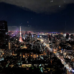 東京タワー/夜景/風景/六本木ヒルズ森タワー 🌺🍹🐊🍉🌴🌺🌴

🌴🦩💫ヒルズからの夜景…(1枚目)