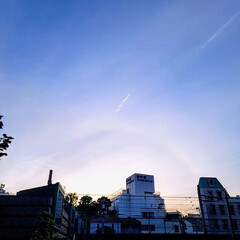 虹🌈/風景/空 🌺🍹🐊🍉🌴🌺🌴

🌴🦩西の空に薄〜い虹🌈…(1枚目)