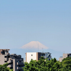 空/風景/富士山 🌈🌺🐢💃🌴🌻🌴🍍

🌴🦩今日の／^o^＼…(1枚目)