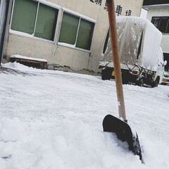 標茶/雪かき/雪/ひらた家具店/冬 こちらは今朝の写真。
昨夜から北海道では…(1枚目)