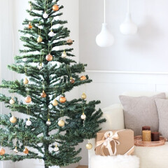 2018/クリスマスツリー/ハンドメイド/雑貨/100均/インテリア/... ニトリのクリスマスグッズでツリーを飾って…(1枚目)