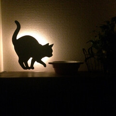 壁ライト 猫てくてく(デスクライト)を使ったクチコミ「キッチンにいる、イタズラ猫🐱
音で反応す…」(1枚目)