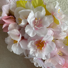春リース/桜アレンジメント/さくら/リース/造花/アレンジメントリース/... 一足早く春が来た！

サクラの花でアレン…(5枚目)