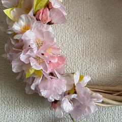 春リース/桜アレンジメント/さくら/リース/造花/アレンジメントリース/... 一足早く春が来た！

サクラの花でアレン…(2枚目)
