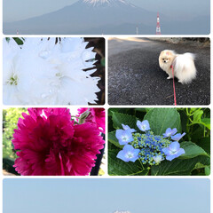 あ散歩/おじいちゃんのフォトブック/公園/今朝の富士山🗻/梅酒/どくだみ茶 今朝は少し離れた公園に行き
富士山🗻を見…