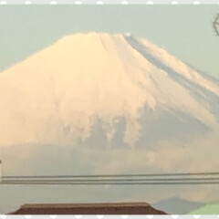 わんこ同好会/わんこ大好き/ピンクのポインセチア/丹沢の山🏔/富士山🗻/楽しそうです/... 今日のあ散歩です。
まりんは楽しそうです…(3枚目)