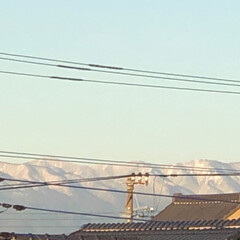 わんこ同好会/わんこ大好き/ピンクのポインセチア/丹沢の山🏔/富士山🗻/楽しそうです/... 今日のあ散歩です。
まりんは楽しそうです…(4枚目)