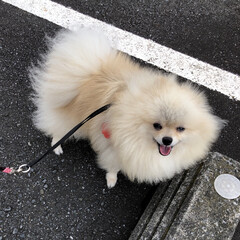 願い事/七夕/雲/クランベリー/あ散歩 おはようございます。
☔️は止んでますが…