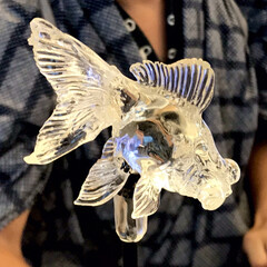 金魚/動物/飴細工/YouTube/クックパッド/おうちごはん/... こちらは透明な飴細工の金魚です。

こん…(1枚目)