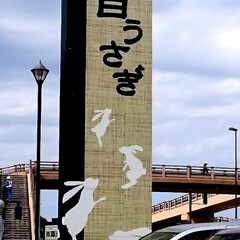 旅行/北海道/おでかけ 二年前に行った鳥取県‼️
写真見つけた‼️(2枚目)