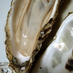幸せ♥/北海道に来たら牡蠣食べて！/なまら上手い/北海道寿都牡蠣 今日北海道なまら暑い💦
今日はなまら、デ…(6枚目)