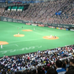 野球/おでかけ 今日は札幌ドームで野球かんせん！
日本ハ…(2枚目)