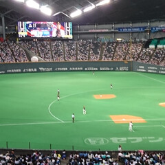 野球/おでかけ 今日は札幌ドームで野球かんせん！
日本ハ…(1枚目)
