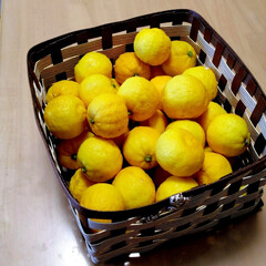 「昨日　本家からもらってきた柚子の半量を柚…」(1枚目)