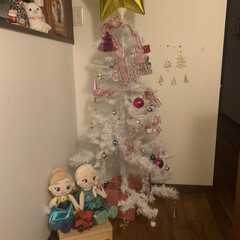 インテリア/廊下/ニトリ/ダイソー/雑貨/クリスマス/... 間違えて買った白いツリー。
これはこれで…(1枚目)