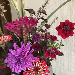 ゼロ円/秋の花/花のある暮らし/節約/花 昨日お客様のお庭からいただいたお花…好き…(2枚目)