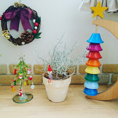 レンガ/クリスマス/リース/シルバーリーフ/ツリー/コニファー お気に入りのガラスのツリー。そしてミニコ…(1枚目)