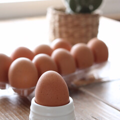 卵スタンド/卵/100均/セリア セリアの新作♪卵スタンド♪
これ便利♪卵…(1枚目)