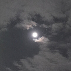 秋の空/夜空/お月様/月見/お月さま/お月見/... 綺麗なお月さま(o^^o) (♡ᴗ͈ˬᴗ…(1枚目)