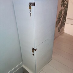 Nuri-Deco-Wall （ヌリ・デコ・ウォール） | アサヒペン(ペンキ、塗料)を使ったクチコミ「ヌリデコウォール モニター投稿 第3弾
…」(3枚目)
