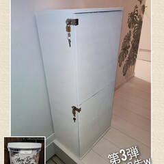 Nuri-Deco-Wall （ヌリ・デコ・ウォール） | アサヒペン(ペンキ、塗料)を使ったクチコミ「ヌリデコウォール モニター投稿 第3弾
…」(1枚目)