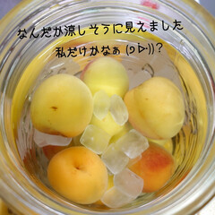涼/梅酒/熱中症/エアコン/ハル おはようございます🌞
リミアでみなさんが…