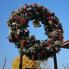 イルミネーション/準備中/花火/いつもの公園 いつもの公園 紅葉銀杏も終わりかけている…