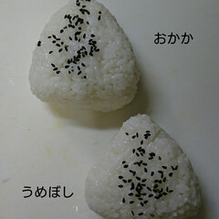 ごましお/塩のり/お弁当/おにぎり/早番 最近 息子は早番が続き 母少々寝不足気味…