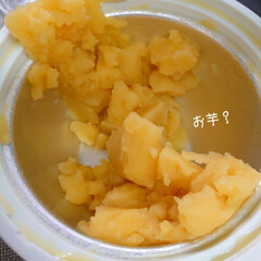 「おはようございます*ˊᵕˋ*ฅ
数日前は…」(2枚目)