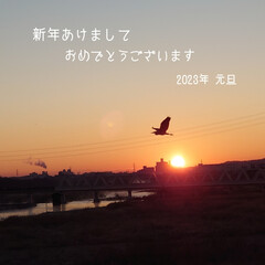 初詣/蕎麦/年越した蕎麦/初日の出/橋の欄干 明けましておめでとうございます🐰🎍
今…