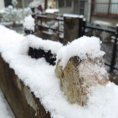 雪/予報通り/雪景色/初雪 こんにちは⛄❅*°
予報通りに雪が降って…(3枚目)