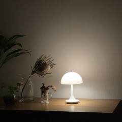 ボタニカル/水耕栽培/ドライフラワー/秋の夜/購入品/照明/...