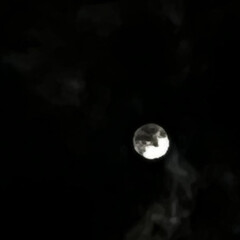 月夜/イイねフォローありがとうございます/いいねありがとうございます 月の撮影、難しい💦(1枚目)
