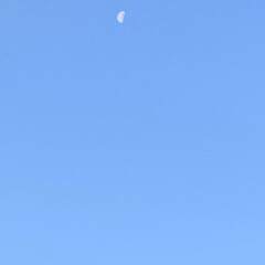 月/賃貸住宅/団地/いいねありがとうございます おはようございます。

空に月が居ました…(1枚目)