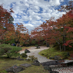 紅葉狩り/松島/お出かけ 紅葉狩り🍁第二弾 🚗=3
宮城県の松島…